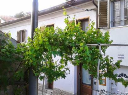 B&B Al Ferdinandeo Triest Zewnętrze zdjęcie